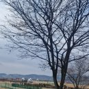 오학파크골프장 | 여주 오학파크골프장 – 여주 외 거주자의 7일 전 온라인 예약부터 입장까지 후기