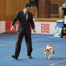 고양고등학교 이미지