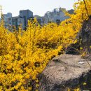 달맞이근린공원 이미지