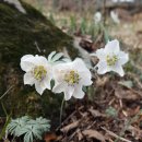 양재역 11번출구 옆 이미지