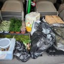 어울림터:마당 이미지