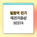 [일원2] 반려견 셀프 미용 | 3호선 일원역 애견미용 잘하는 곳 BEST4 | 애견미용샵 추천 | 미용비용 체크 | 후기 읽기 | ❤️