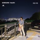 징그러운 여름이 끝나가고, 8월 말 일상/수북회관 꿀꿀갈비, 보자기장 통밀빵