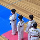 월드태권도체육관 | 창원마산실내체육관 태권도 2품 승급 심사 대회 다녀온 후기~♥