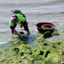 한창목장 이미지