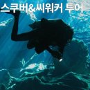 여행하기 좋은 날 이미지