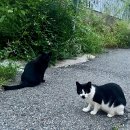 어제와 오늘의 얼굴 이미지