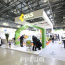 코아스코리아 이미지