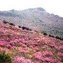 비슬산휴양림관리사무소 이미지