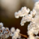 의상리폼 이미지