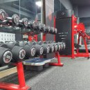 베어짐(BEAR GYM) 이미지