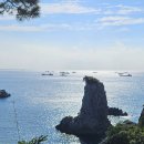 여주-1142 이미지