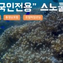 발리발리
