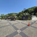 포항시민 민속장기대회 | 《장기유배지》전하 신은 억울합니다