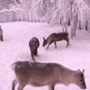 르네상스호텔대중탕 | 부곡온천, 인기이유, 주변볼거리