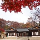 맑고 향기롭게 이미지