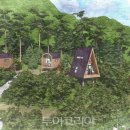 태백고원자연휴양림 이미지