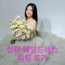 COOL장식조명 | [결혼준비] 청담역 라보네르나나 피팅후기 (이브닝드레스, 2부, 촬영, 스냅)