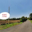 성읍리-20 이미지