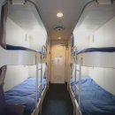 카멜리아 이미지