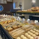 뉴욕커 핫도그 이미지