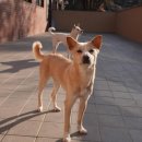 내장농장 이미지