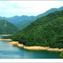 화천군수달연구센터 이미지