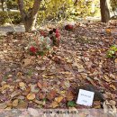 숙명여자대학교 라이프스타일디자인대학원 이미지