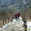 용성식 Daum카페