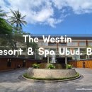 The스파&휘트니스 이미지