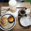 오늘도 고양이처럼 고씨네 하우스 이미지