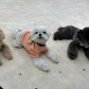 눈보뛰 프리미엄 이미지