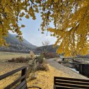 신당리 마을회관 이미지