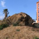 제주화석박물관 이미지