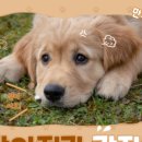 25시 죽곡동물병원 이미지