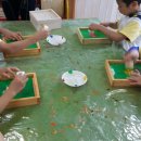 노란 잠수함어린이집 이미지