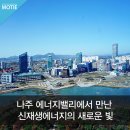 나주목사골배 이미지