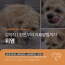 심동물병원 이미지