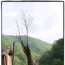 초원의집 민박 | 담양 용추사