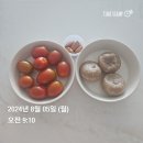 일주일 기록 범일동매떡/코로나재택근무