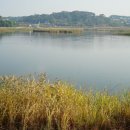당산2리 이미지