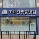 조재진동물병원 이미지