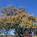 예림경로당 이미지