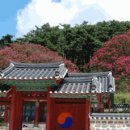 본관 &amp; 성씨별 인물도 이미지