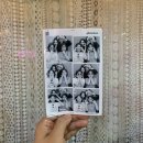 #8 이게 사람사는 날씨냐 망고나 바나나가 사는 날씨지