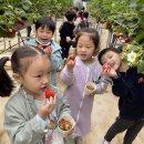 중앙초등학교 병설유치원 이미지