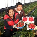 문암농장 이미지