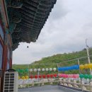 금강사유치원 네이버블로그