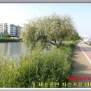 대천천1 이미지