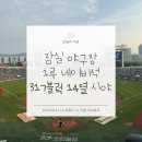 태현메디칼 | 24번째 직관, 250831 LG vs 키움 / 잠실야구장 1루 네이비석 317블럭 14열 시야